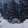 DSC05930